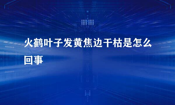 火鹤叶子发黄焦边干枯是怎么回事