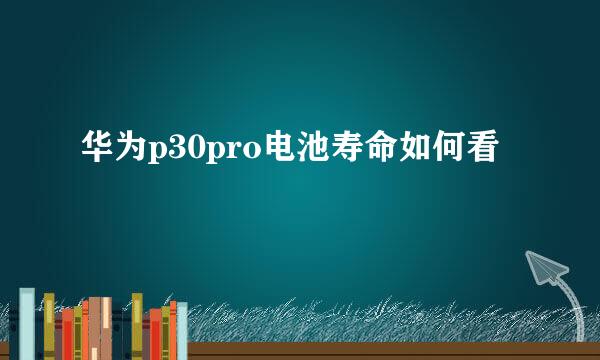 华为p30pro电池寿命如何看