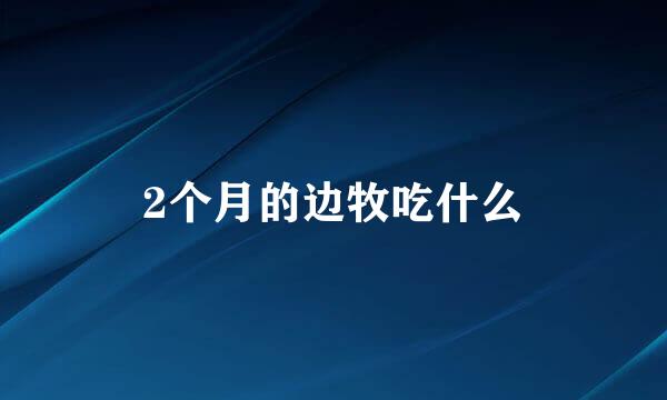 2个月的边牧吃什么