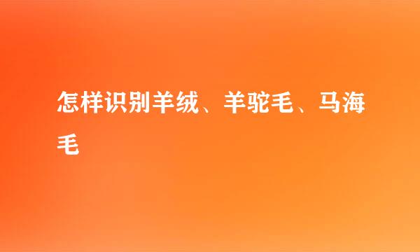 怎样识别羊绒、羊驼毛、马海毛