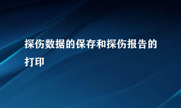 探伤数据的保存和探伤报告的打印