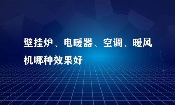 壁挂炉、电暖器、空调、暖风机哪种效果好