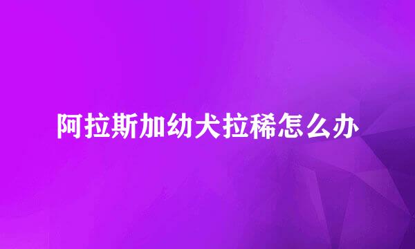 阿拉斯加幼犬拉稀怎么办