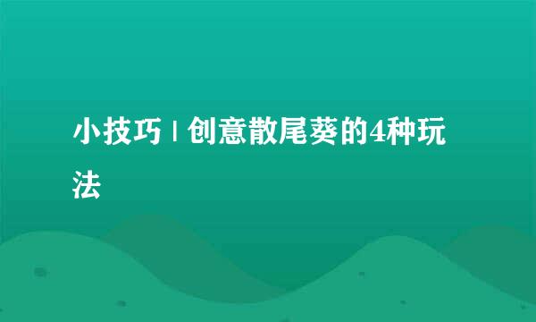 小技巧 | 创意散尾葵的4种玩法