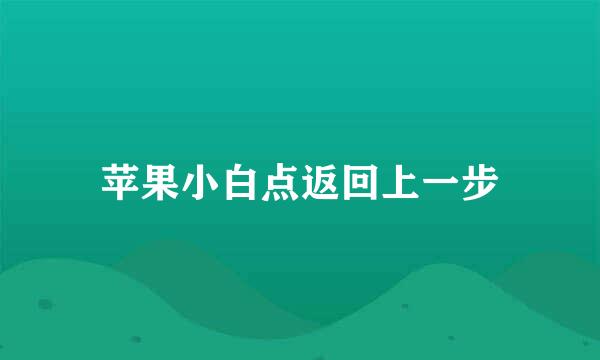 苹果小白点返回上一步