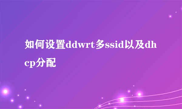 如何设置ddwrt多ssid以及dhcp分配