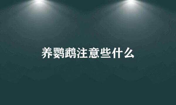 养鹦鹉注意些什么