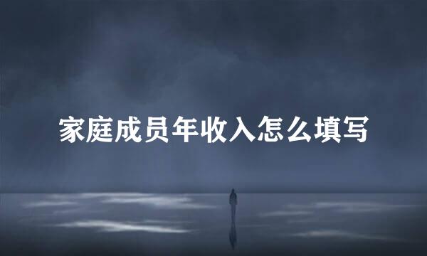 家庭成员年收入怎么填写