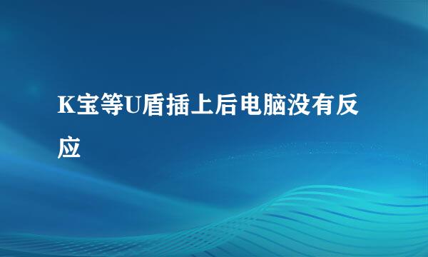 K宝等U盾插上后电脑没有反应