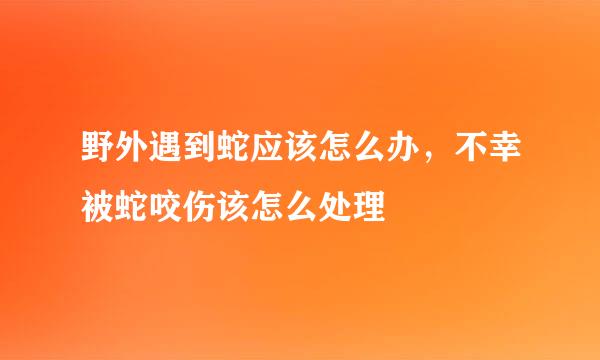 野外遇到蛇应该怎么办，不幸被蛇咬伤该怎么处理
