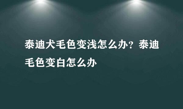 泰迪犬毛色变浅怎么办？泰迪毛色变白怎么办