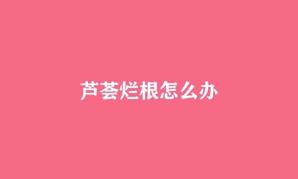 芦荟烂根怎么办