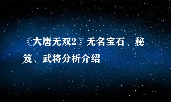 《大唐无双2》无名宝石、秘笈、武将分析介绍