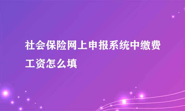 社会保险网上申报系统中缴费工资怎么填