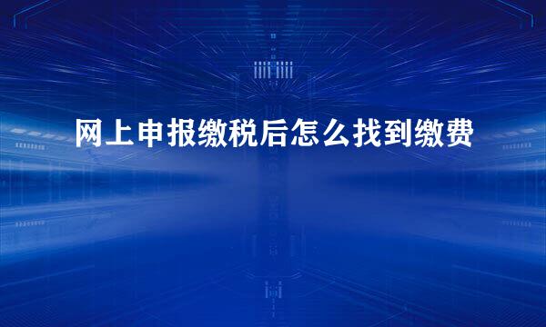 网上申报缴税后怎么找到缴费