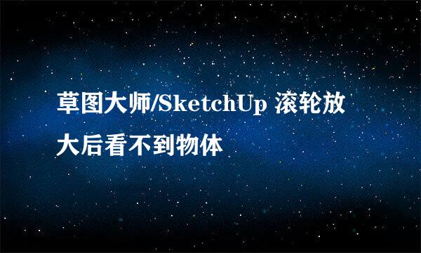 草图大师/SketchUp 滚轮放大后看不到物体
