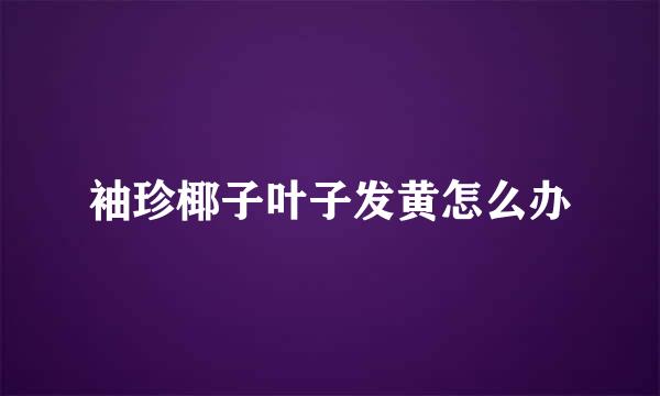 袖珍椰子叶子发黄怎么办