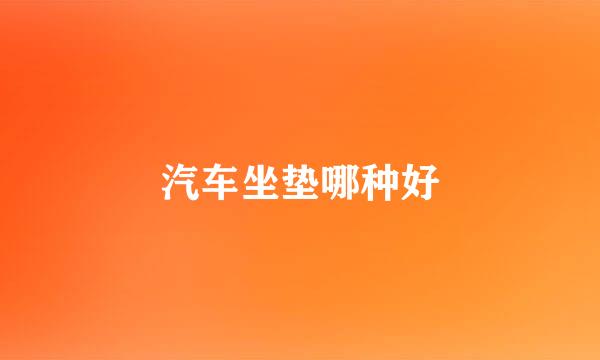 汽车坐垫哪种好