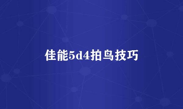 佳能5d4拍鸟技巧