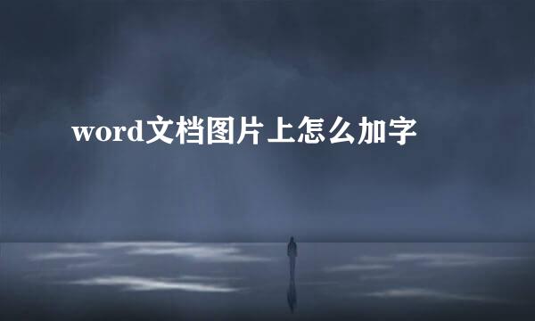 word文档图片上怎么加字