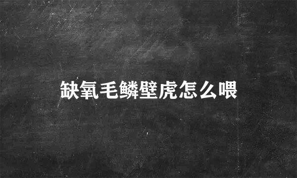 缺氧毛鳞壁虎怎么喂