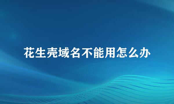 花生壳域名不能用怎么办