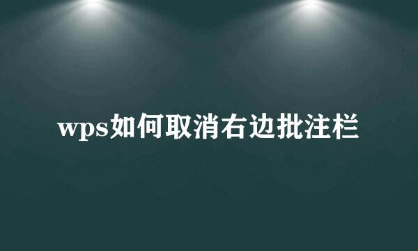 wps如何取消右边批注栏