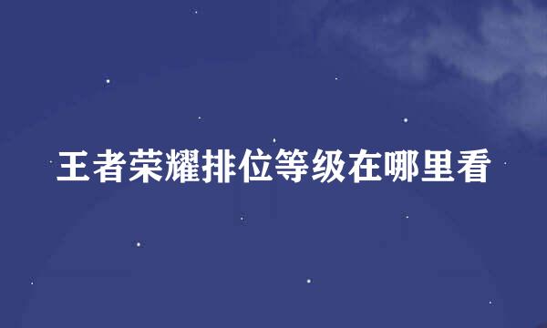 王者荣耀排位等级在哪里看