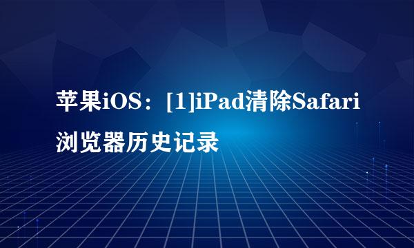 苹果iOS：[1]iPad清除Safari浏览器历史记录