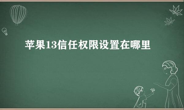 苹果13信任权限设置在哪里