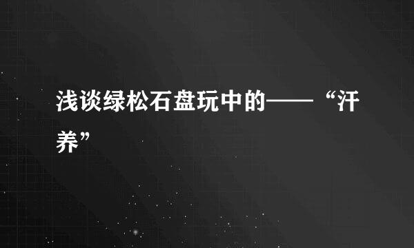 浅谈绿松石盘玩中的——“汗养”