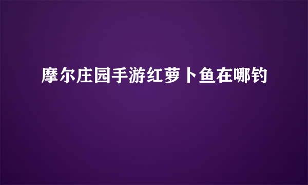 摩尔庄园手游红萝卜鱼在哪钓