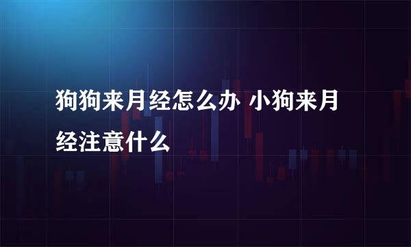 狗狗来月经怎么办 小狗来月经注意什么