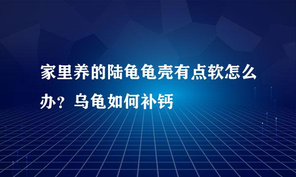 家里养的陆龟龟壳有点软怎么办？乌龟如何补钙