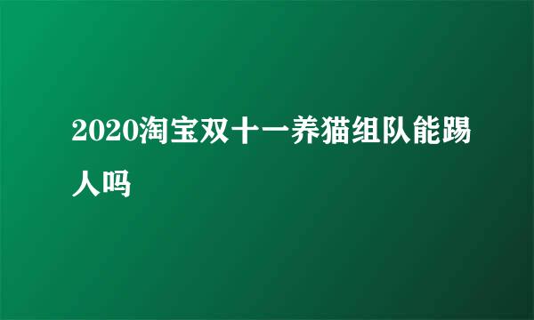 2020淘宝双十一养猫组队能踢人吗