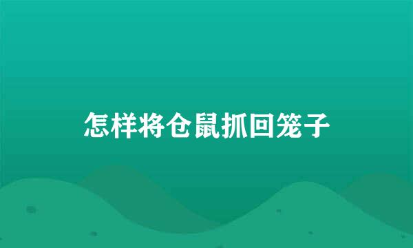怎样将仓鼠抓回笼子