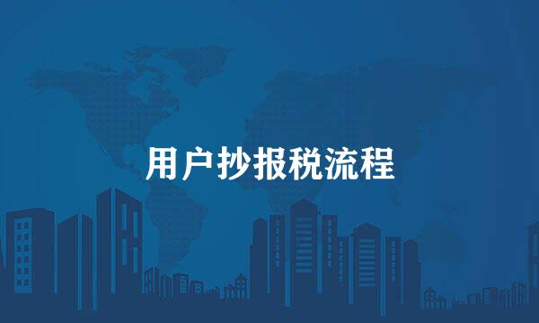 用户抄报税流程