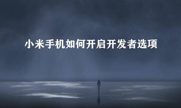 小米手机如何开启开发者选项