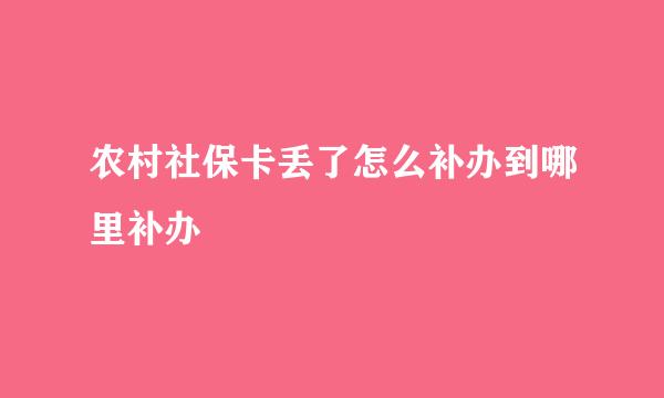 农村社保卡丢了怎么补办到哪里补办