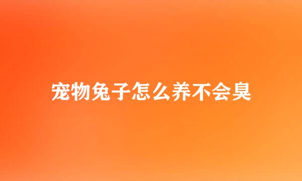 宠物兔子怎么养不会臭