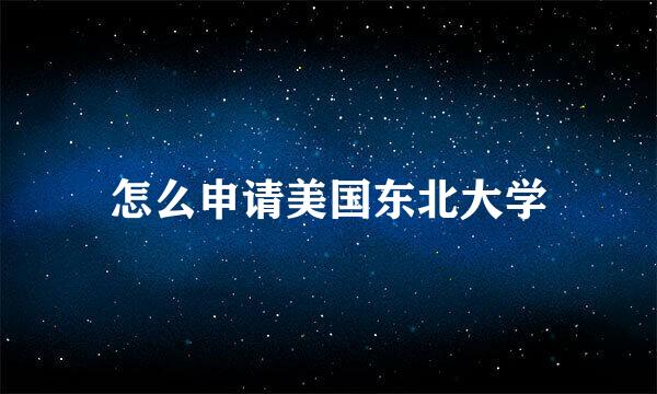 怎么申请美国东北大学