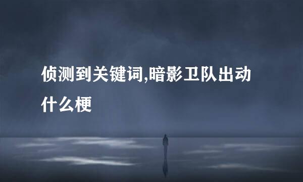 侦测到关键词,暗影卫队出动什么梗
