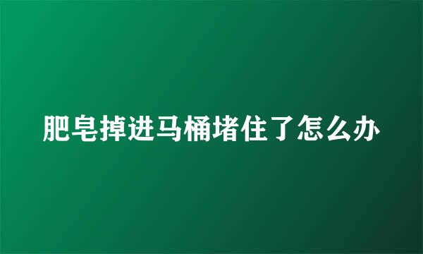 肥皂掉进马桶堵住了怎么办