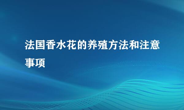 法国香水花的养殖方法和注意事项