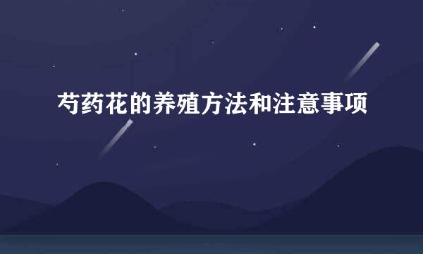 芍药花的养殖方法和注意事项