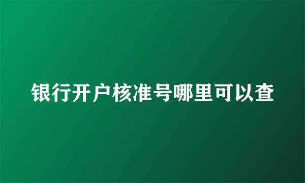 银行开户核准号哪里可以查