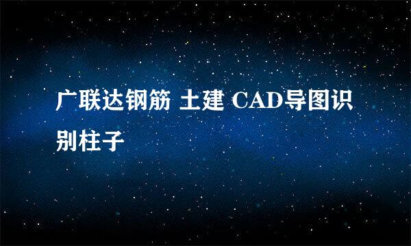 广联达钢筋 土建 CAD导图识别柱子
