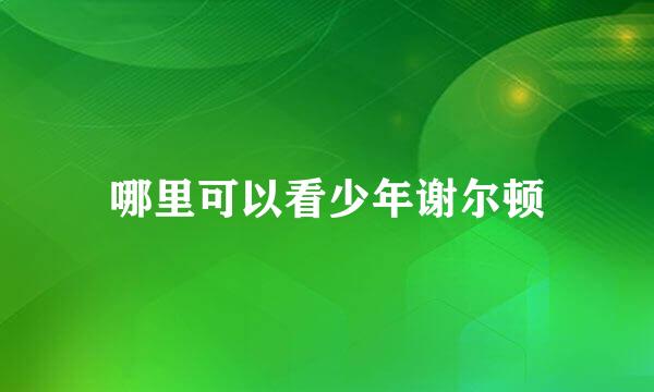 哪里可以看少年谢尔顿