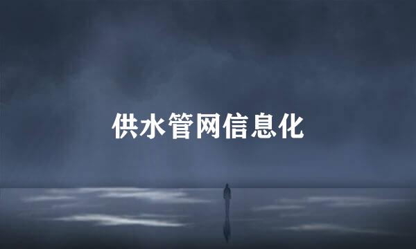 供水管网信息化