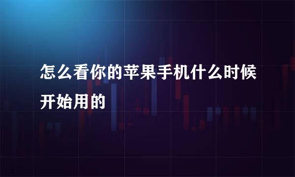 怎么看你的苹果手机什么时候开始用的